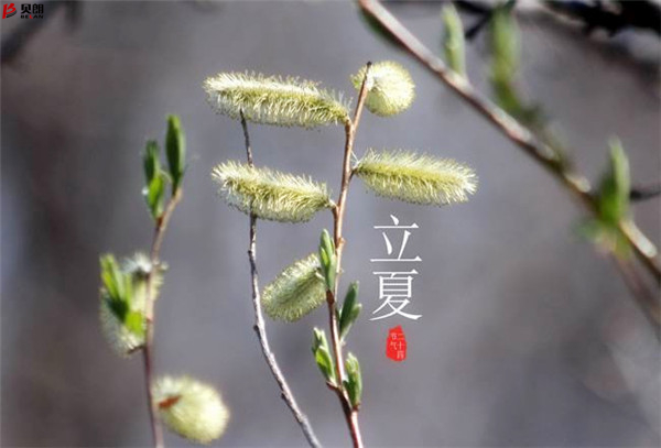二十四節氣立夏，那些您不知道的習俗