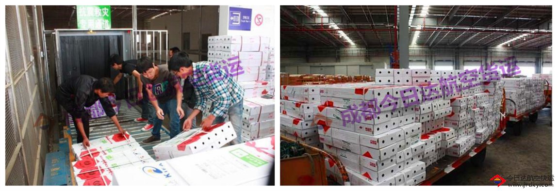 成都花枝航空托運(yùn)