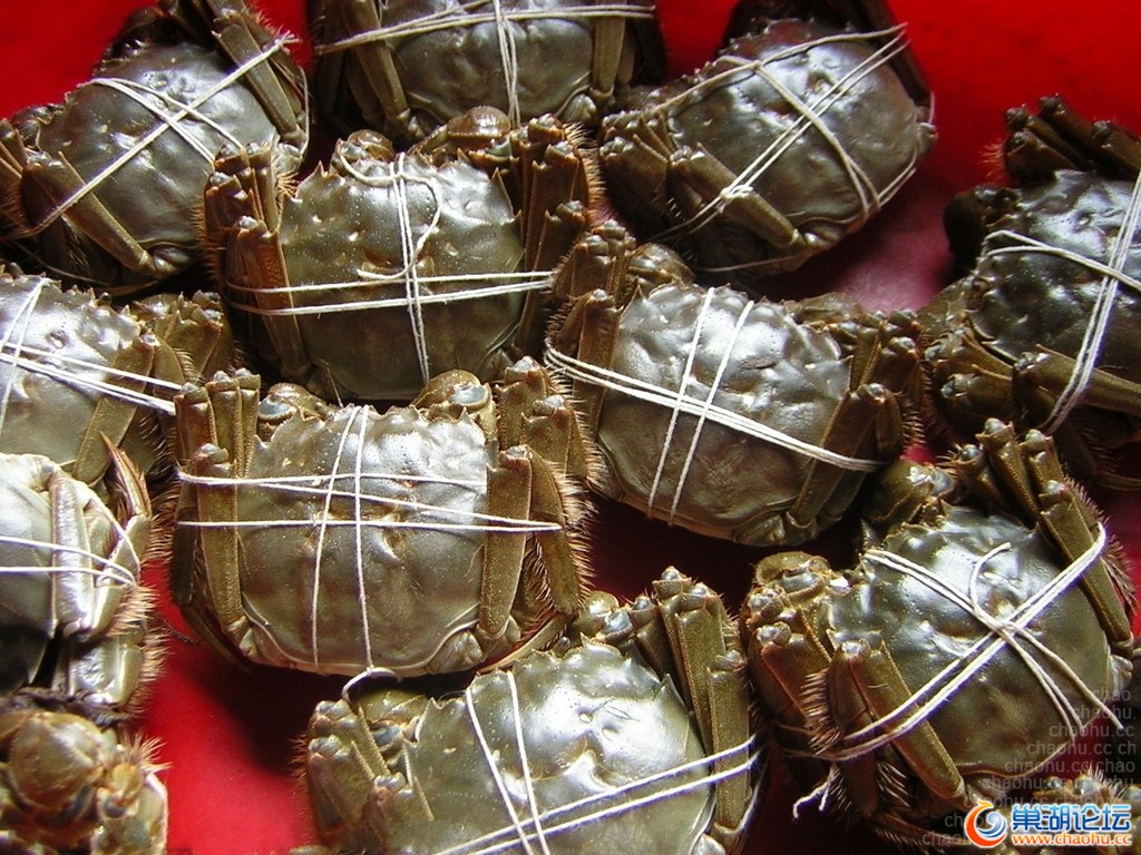 機(jī)場航空快遞,機(jī)場航空快件