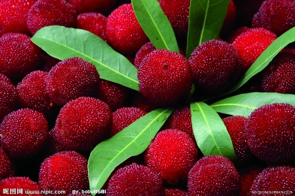 機(jī)場航空快遞,機(jī)場航空快件