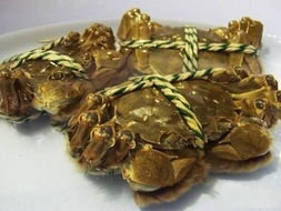 鮮活易腐品空運